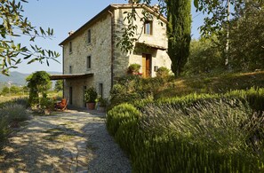 Covivoli: 3 storey Tuscan farmhouse in olive grove, with pergola, terrace & pool