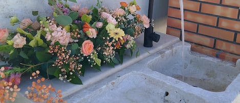 Enceinte de l’hébergement