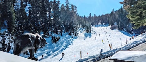 Ski In / Ski Out @ Heavenly from the iconic house with the bear on the roof!