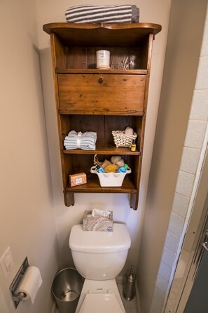 Toilet and Supplies