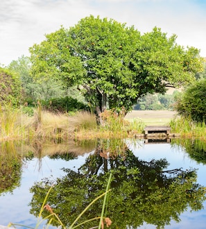 Swimming pond