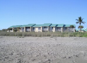 view from the beach!