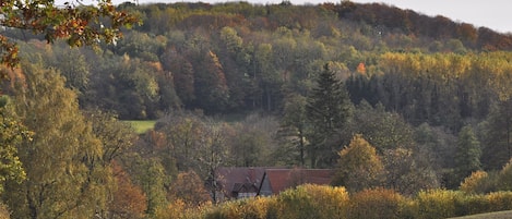 Blick auf die Mühle im Tal