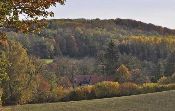 Blick auf die Mühle im Tal