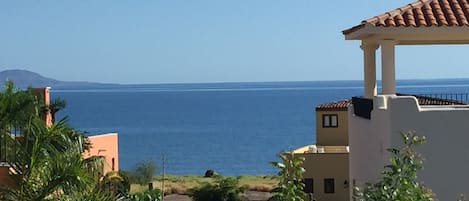 Enjoy Sea of Cortez ☀️views while drinking coffee ☕️watching dolphins🐬
Magico! ✨🦋✨