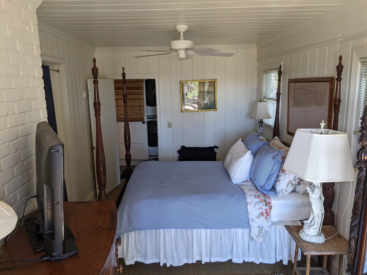 Family & Pet friendly Beachfront – 5 Eugenia