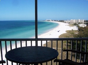 Our condo boasts this view from every room!