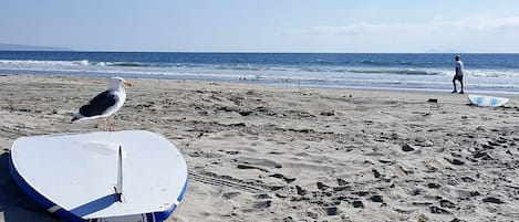 World Famous Coronado Beach