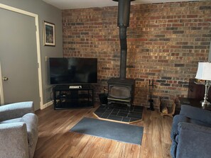 Wood burning stove with smart TV
