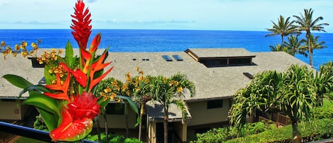 Ocean View Lanai