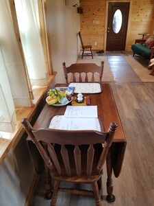 Tiny house close Ricketts Glen State Park available for daily rental. Furnished!