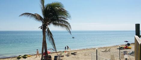 Ocean, sand, palm tree