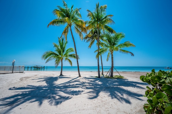 Our palm trees and tropical ocean breeze are always in season