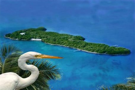 Image of Private Island, Florida Keys with unique home, Boat, Dock, Beach, Water Sports