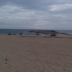 Strand
