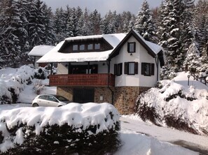 Fresh Snow In Winter