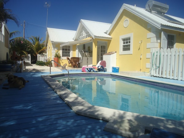 Relax in the pool or under the palm trees. 
