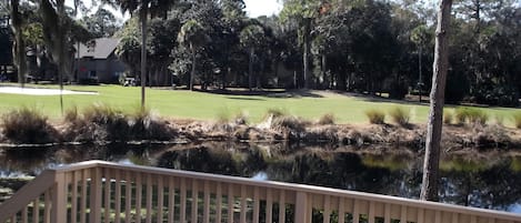  View from one of two decks