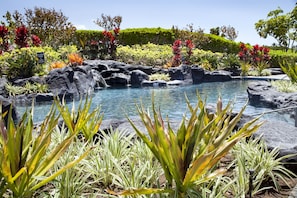 Tropical Lush Landscaping at both pools