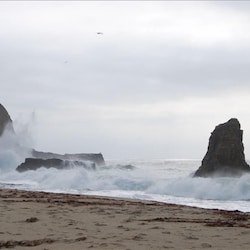 Davenport Beach