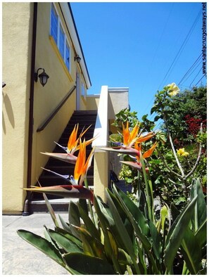 Steps to the front door