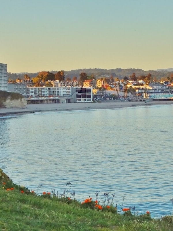 Cowells Beach is across the street