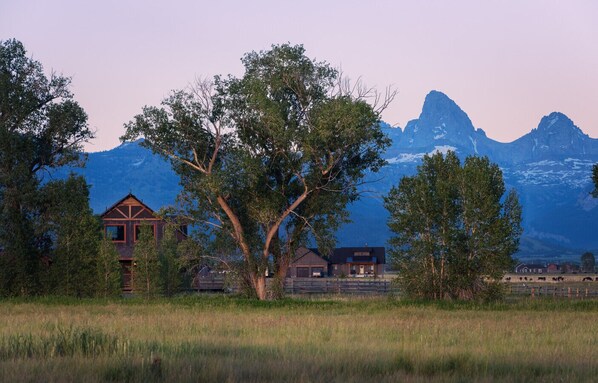 Summer Exterior