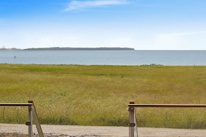 Vue sur l'eau