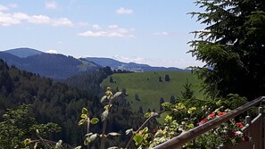 Blick vom Balkon, Ferienwohnung Toskana