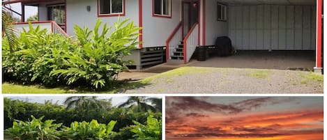 Palm Cottage - a cute cottage in a serene setting with coastal ocean views.