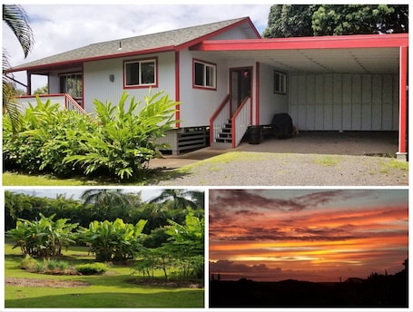Palm Cottage - a cute cottage in a serene setting with coastal ocean views.