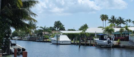 View from back yard.