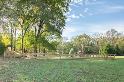 Spotless Cottage in Gorgeous Setting, pet friendly , miniature donkeys, wildlife