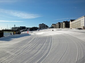 Your morning wake up call. Is the coffee ready? The building on the right of this photo is Expedition Station.