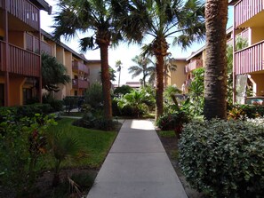 Take a walk through the wonderful landscaped grounds of the Tiki.