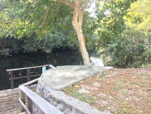 Imperial River with access to Gulf of Mexico ... loaded with wildlife!