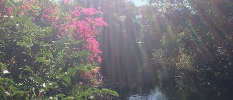 Jardines del alojamiento