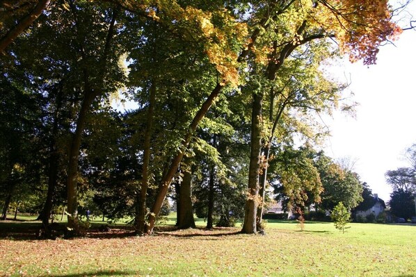 View of the house from a part of the private park