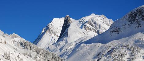 Ski the amazing pistes around Pralognan-la-Vanoise!