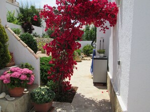 Mediterrane Gartenanlage