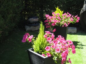 Boendeområde