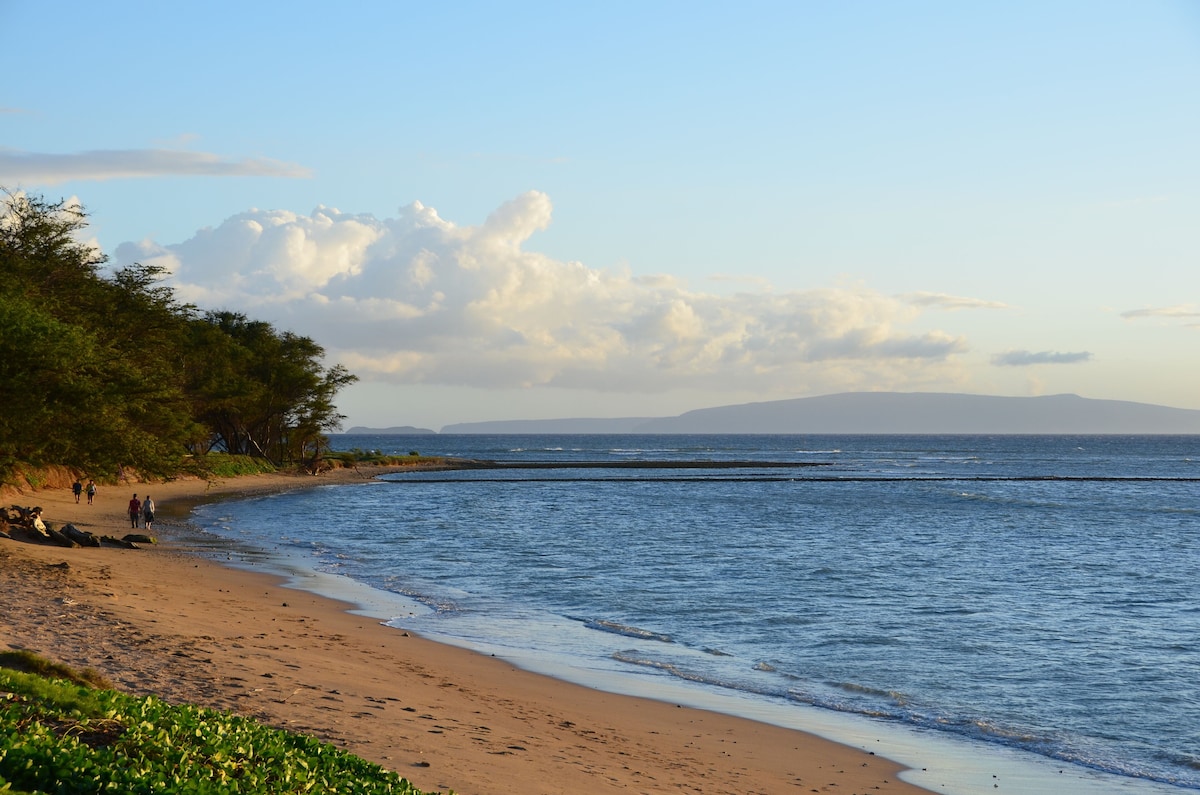 Maui Sunset B201: Beautiful 2 Bedroom, 2 Bath, Kihei Condo. Sleeps up to Six