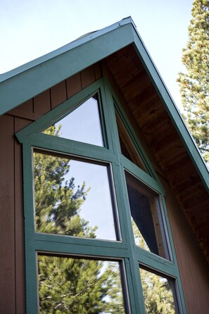 The beautiful forest reflected in the wall of windows