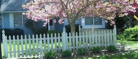 Front of the house in April.