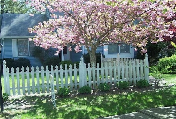 Front of the house in April.