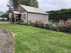 Front yard and fenced back yard