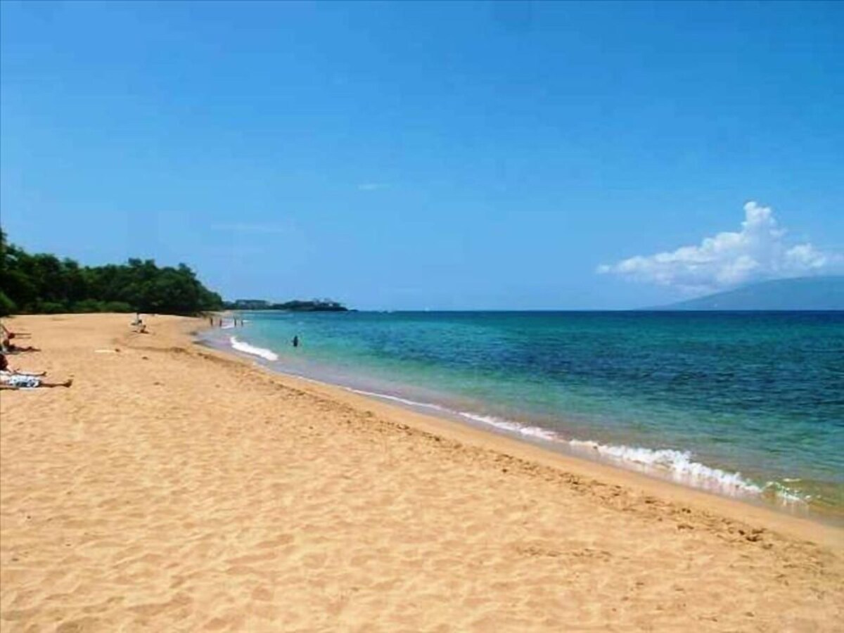 Ultimate Family Luxury! Breathtaking Oceanfront 3 Bed/3 Bath