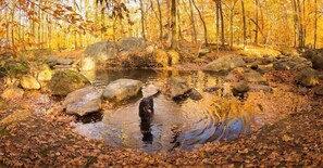 The creek & trails are a short 5 minute walk from the home.