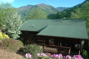 The back of our cozy cabin. This is an ideal place to bar-b-que and/or relax. 