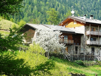 Cozy cottage in the mountains in Trentino Alto Adige Valle dei Mocheni Alps
